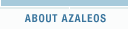 About Azaleos
