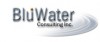 BluWater Consulting